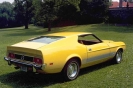 1973 Mustang