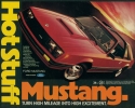 1981 Mustang